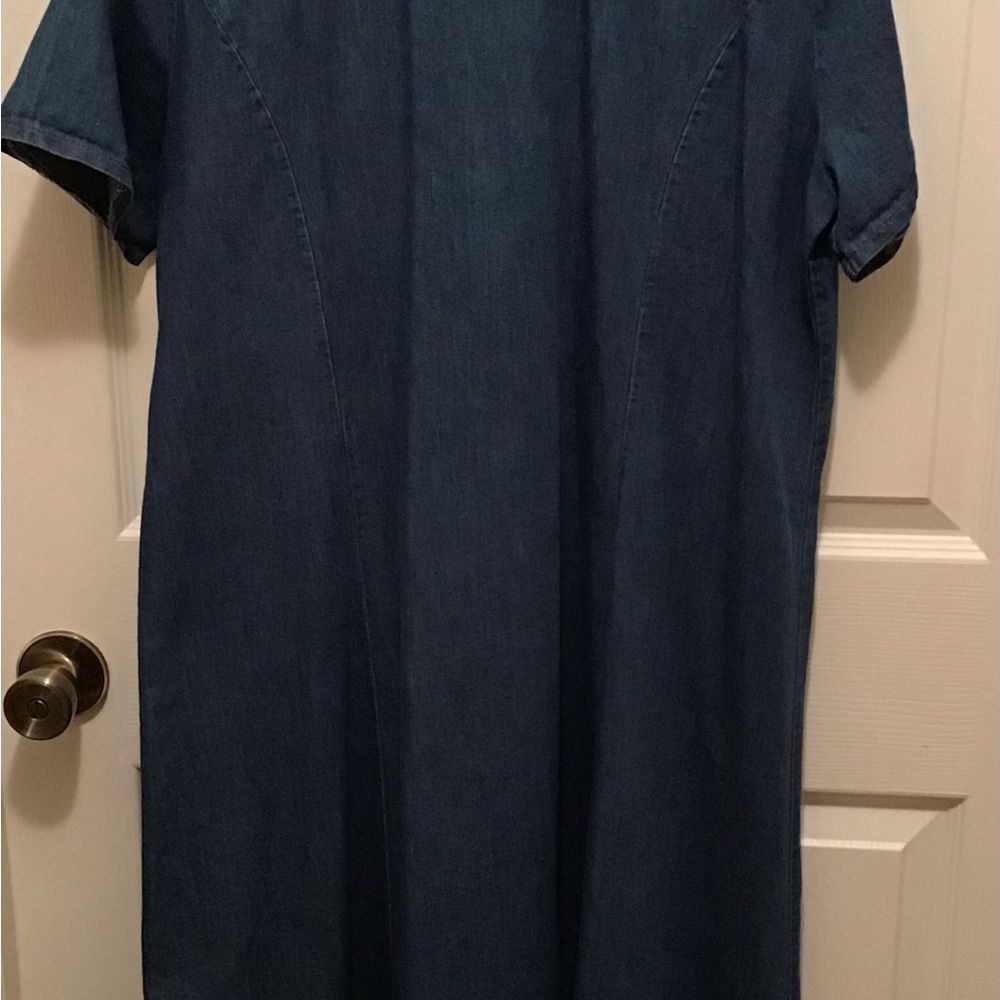 Denim Button-Down Maxi Dress - Picture 3 of 3
